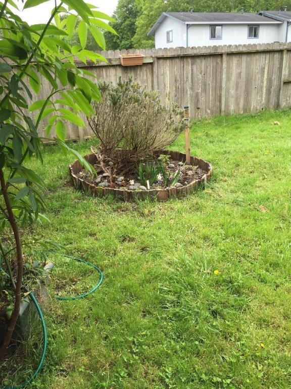 2103 Wisteria Way, Arcata, CA 95521 - photo 5