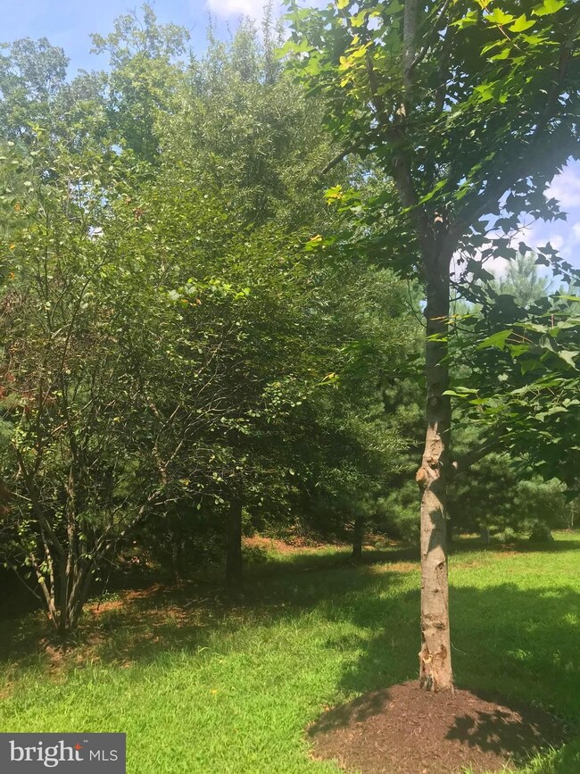 6808 Orrington Ln, Haymarket, VA 20169 - photo 6