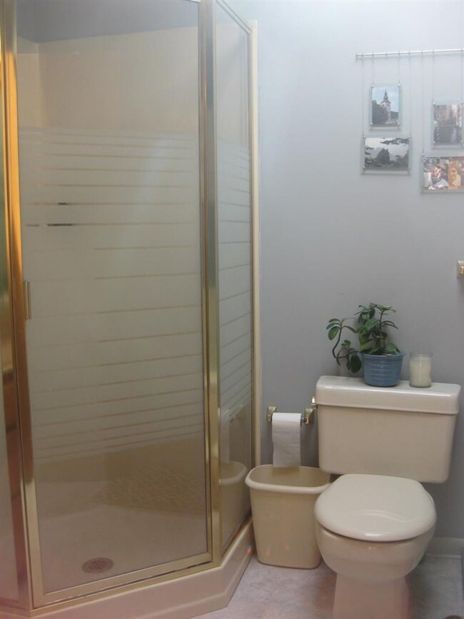 238 Walnut Ln, Crown Point, IN 46307 - photo 7