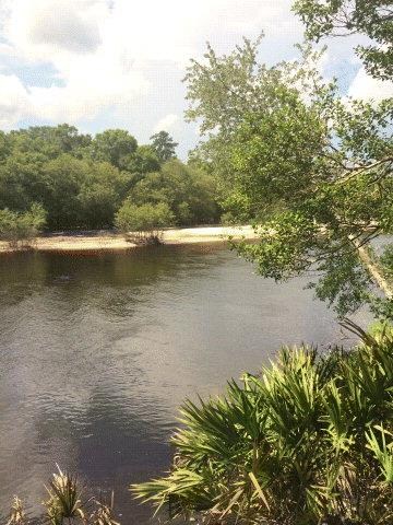 701 Fort McIntosh Loop, Hortense, GA 31543 - photo 4