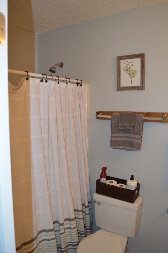 101 Berele Shepsele Ln, La Vergne, TN 37086 - photo 7