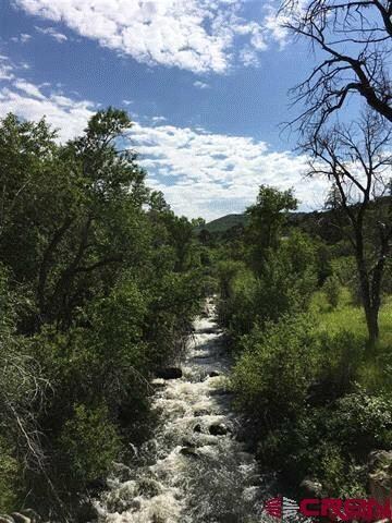 20602 Surface Creek Rd, Cedaredge, CO 81413 - photo 6