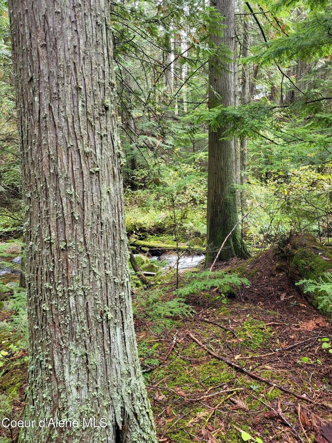Granite Creek 6