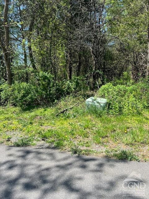 4 Catskill Ct, Coxsackie, NY 12015 - photo 4