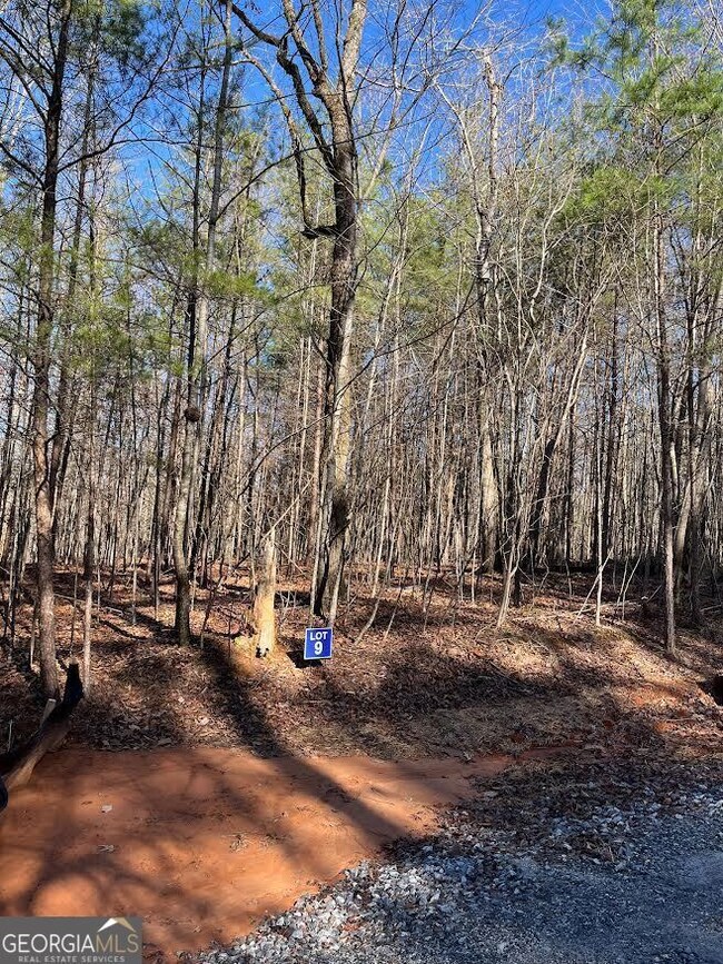 9 Crawford Crest, Dawsonville, GA 30534 - photo 3