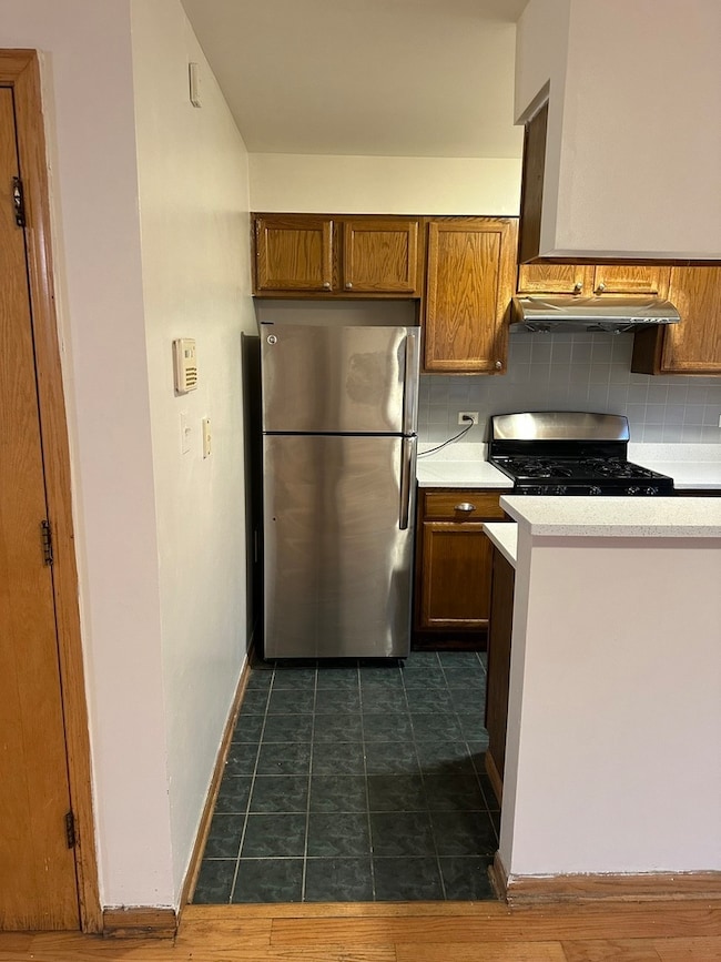 unlisted-address, Chicago, IL 60616 - photo 5