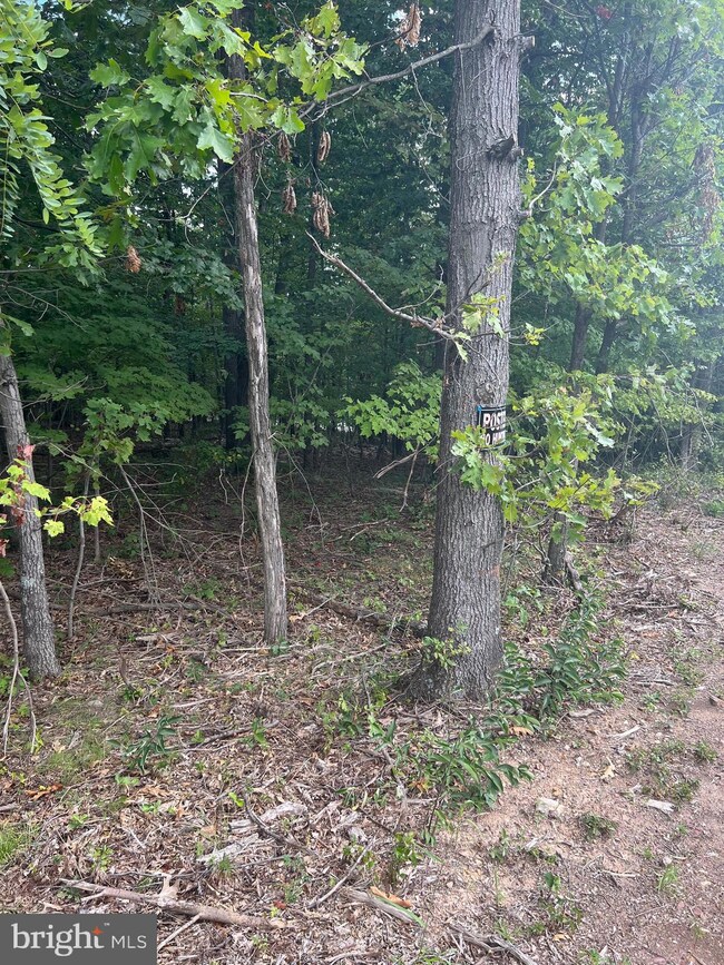 0 Lot 51 Clavius Way unit WVBE2012858, Hedgesville, WV 25427 - photo 2