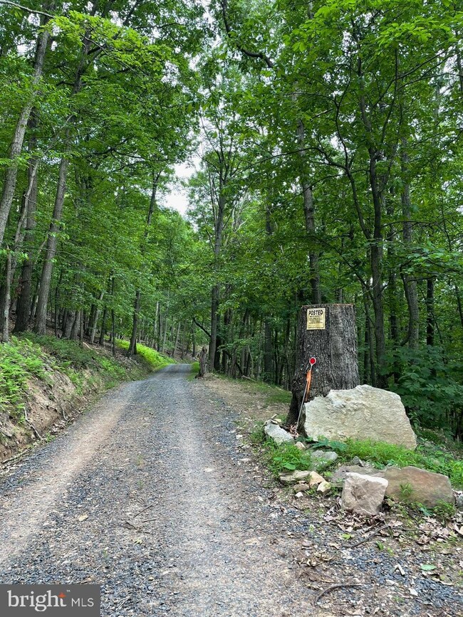 28 C Cove Creek Rd, Baker, WV 26801 - photo 5