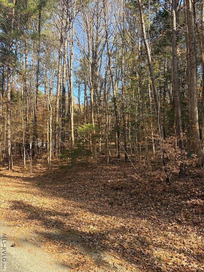 011, Bracey, VA 23919 - photo 4