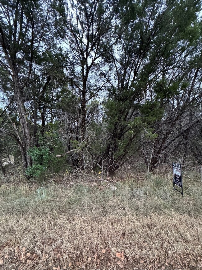 1013 Comanche Cove Dr, Granbury, TX 76048 - photo 5