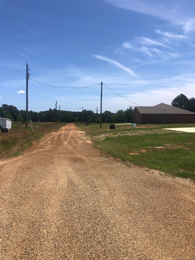 TBD Meadow Ln, Naples, TX 75568 - photo 4