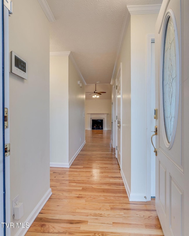 4150 Cooks Point, Kingsport, TN 37664 - photo 2