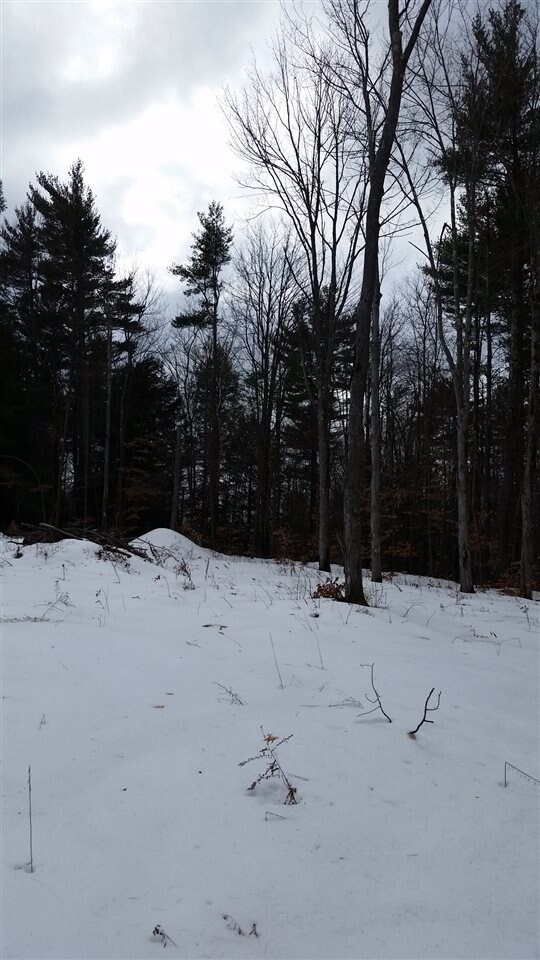 0 Pinnacle Springs Rd, Chesterfield, NH 03443 - photo 7