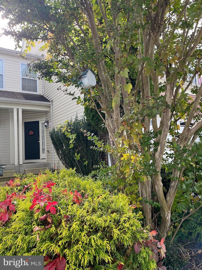 4817 Atlas Cedar Way, Aberdeen, MD 21001 - photo 5