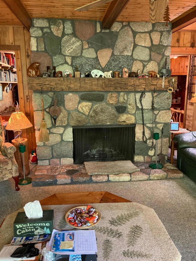 10522 S Touhi Trail, Baldwin, MI 49304 - photo 6