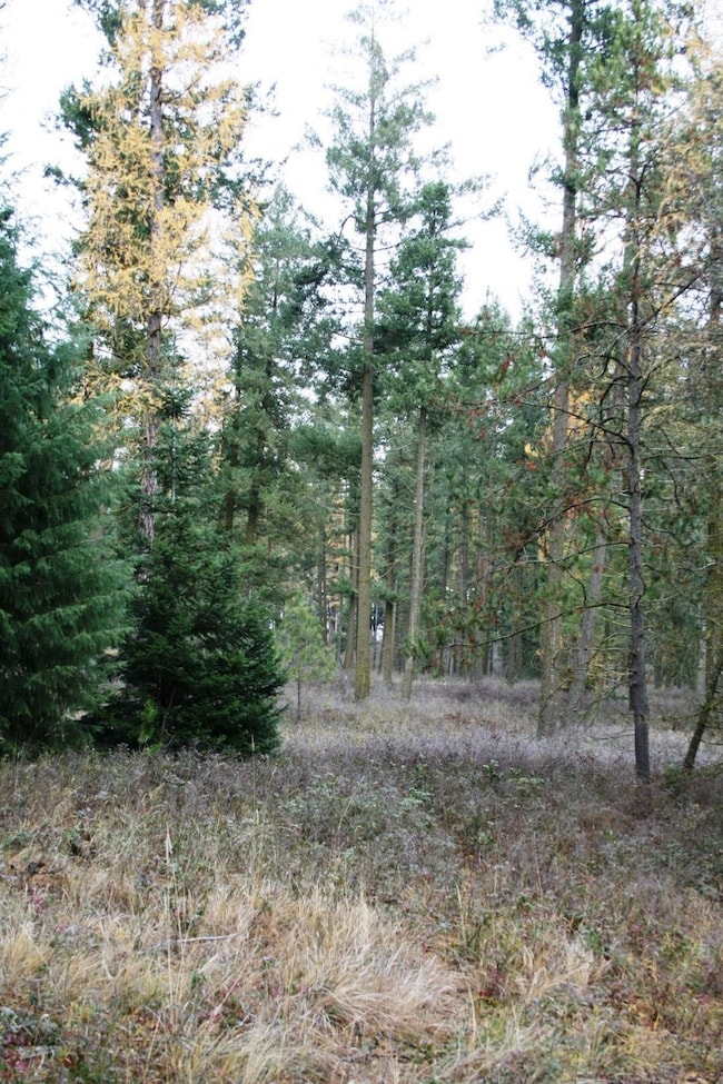 00 Dahl Lot 7 Rd unit Lot 7, Deer Park, WA 99006 - photo 3