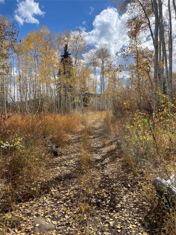 tbd Colt Trail, Oak Creek, CO 80467 - photo 4