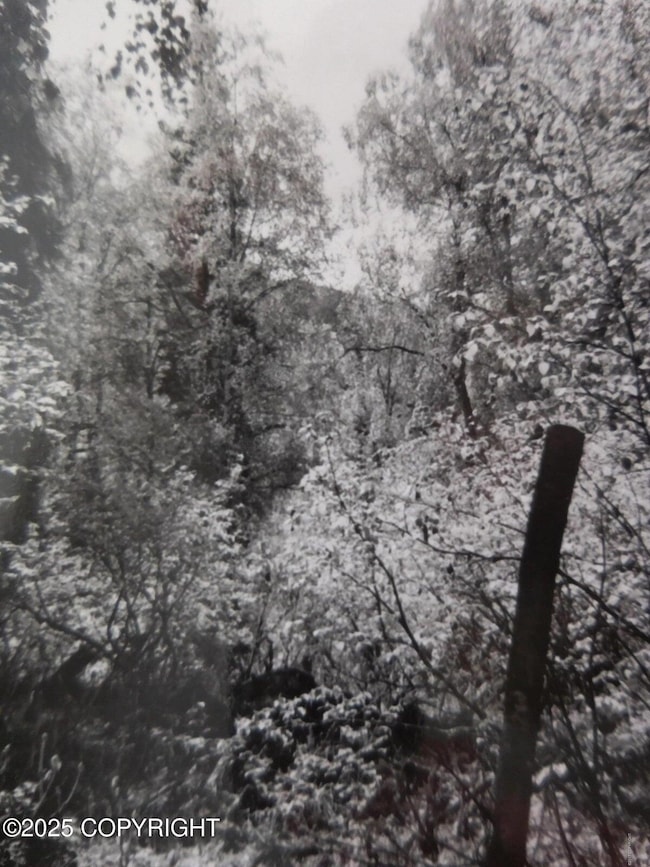 L3-1 Chase 2, Talkeetna, AK 99676 - photo 4