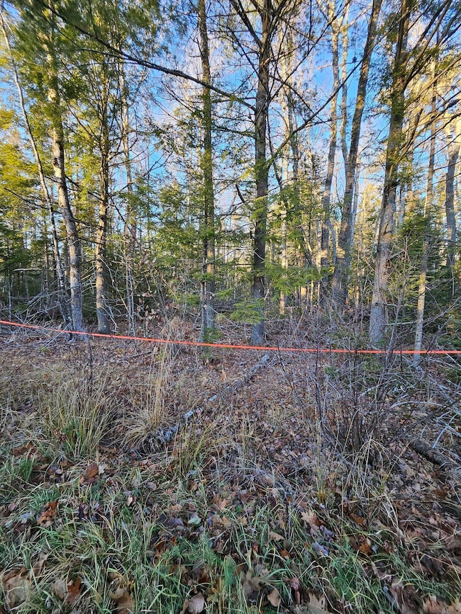 199 Poplar St, Old Town, ME 04468 - photo 5