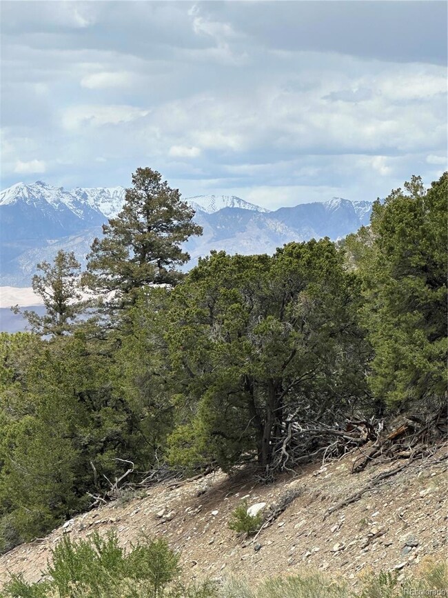 0 Tbd unit REC8471834, Mosca, CO 81146 - photo 2