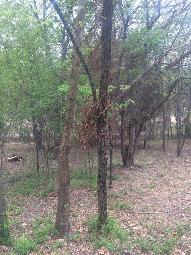 12 Country Club Cir, Bella Vista, AR 72715 - photo 4