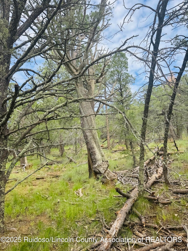 - Johnnys Dr, Timberon, NM 88350 - photo 5