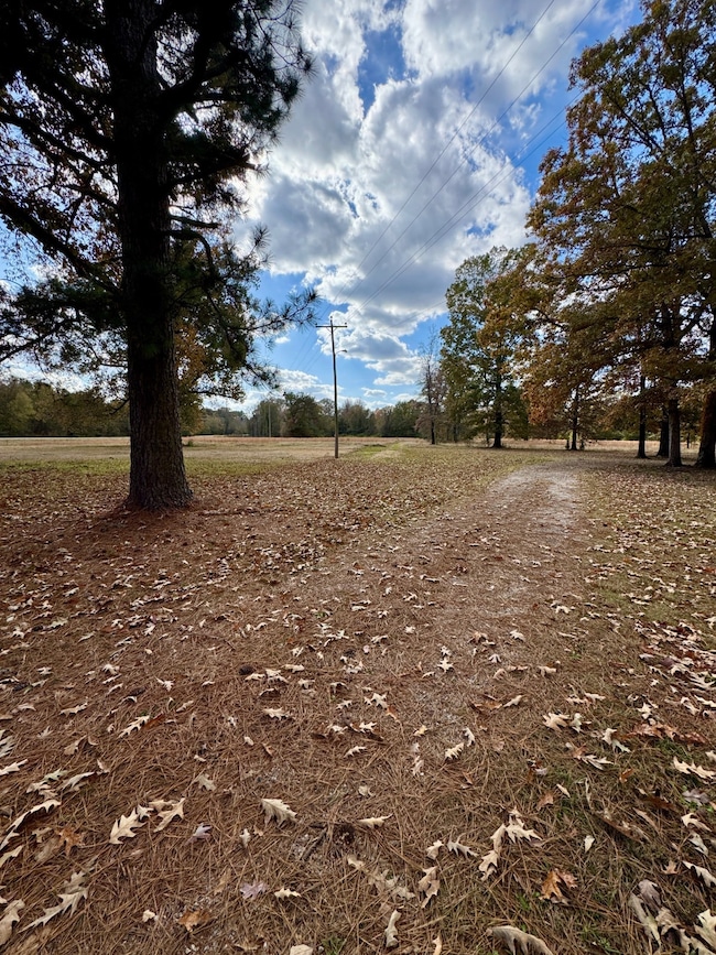 TBD Pleasant Hill Rd, Haworth, OK 74740 - photo 7