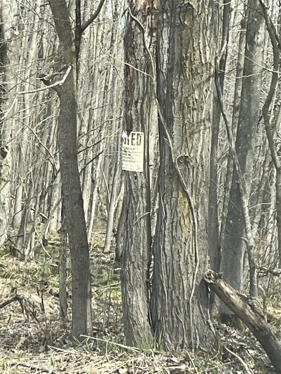 Yellow poster on tree flanking survey marker is no