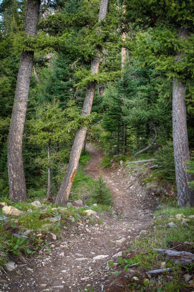 TBD Lot 14 Grey Drake Rd, Big Sky, MT 59716 - photo 5