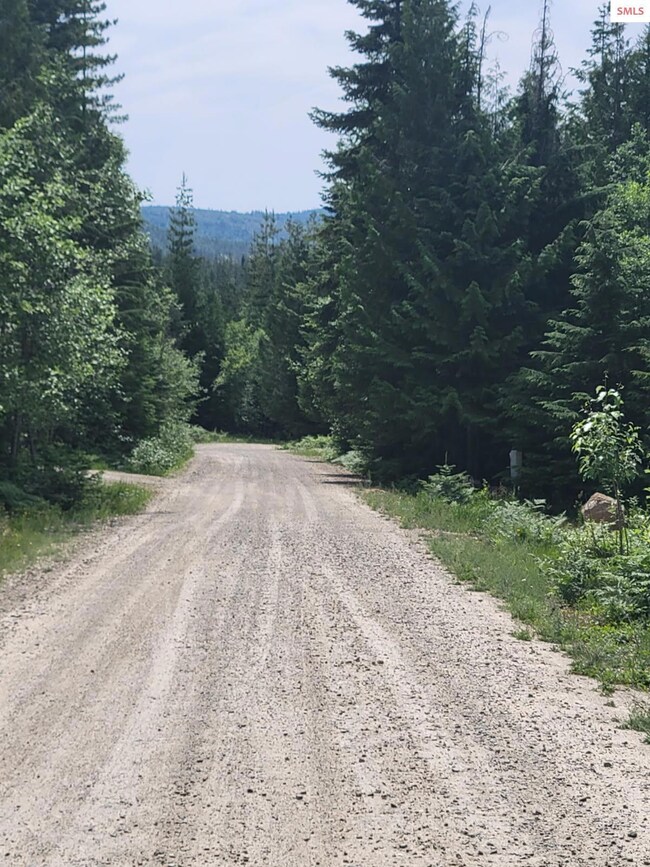 nna Rising Hawk Ridge, Sandpoint, ID 83864 - photo 7