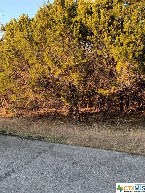 15998 & 16004 &16012 Charlya Dr, Temple, TX 76502 - photo 2