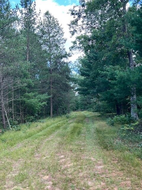 2640 14th Ct, Adams, WI 53910 - photo 3