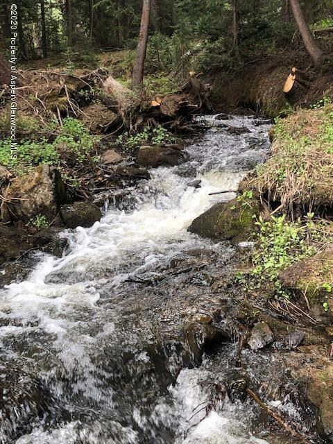 1250 (Lot 37) Red Mountain Ranch Rd, Crested Butte, CO 81224 - photo 6