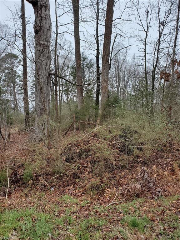 1 Bachelor Creek Rd, Seagrove, NC 27341 - photo 2