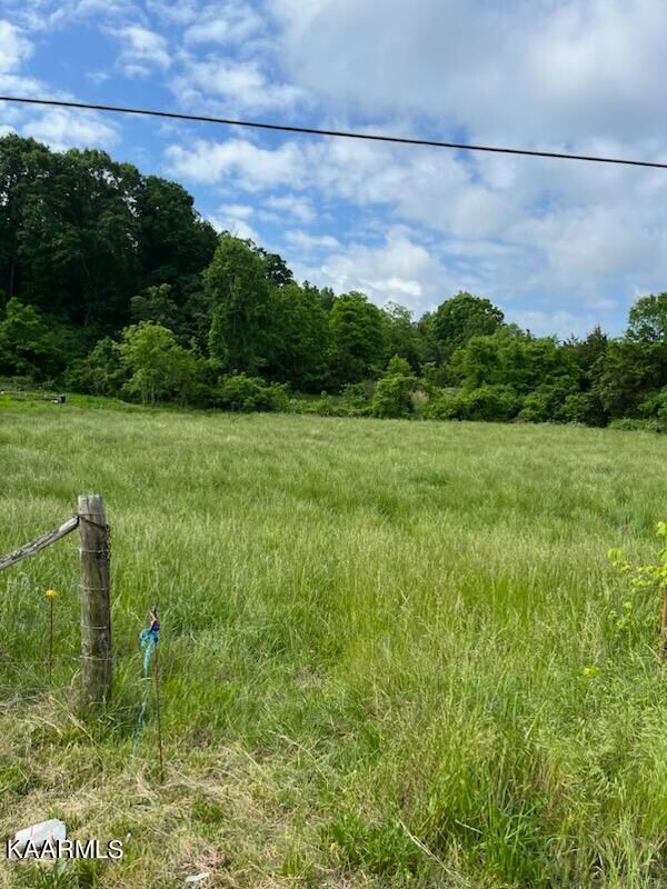 0 Blue Springs Pkwy unit 1228670, Mosheim, TN 37818 - photo 2