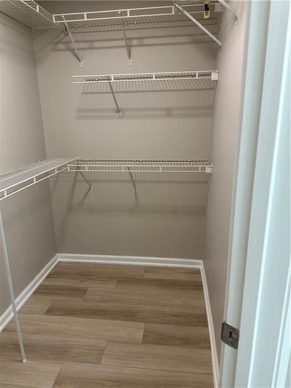 Spacious closet with light wood-type flooring
