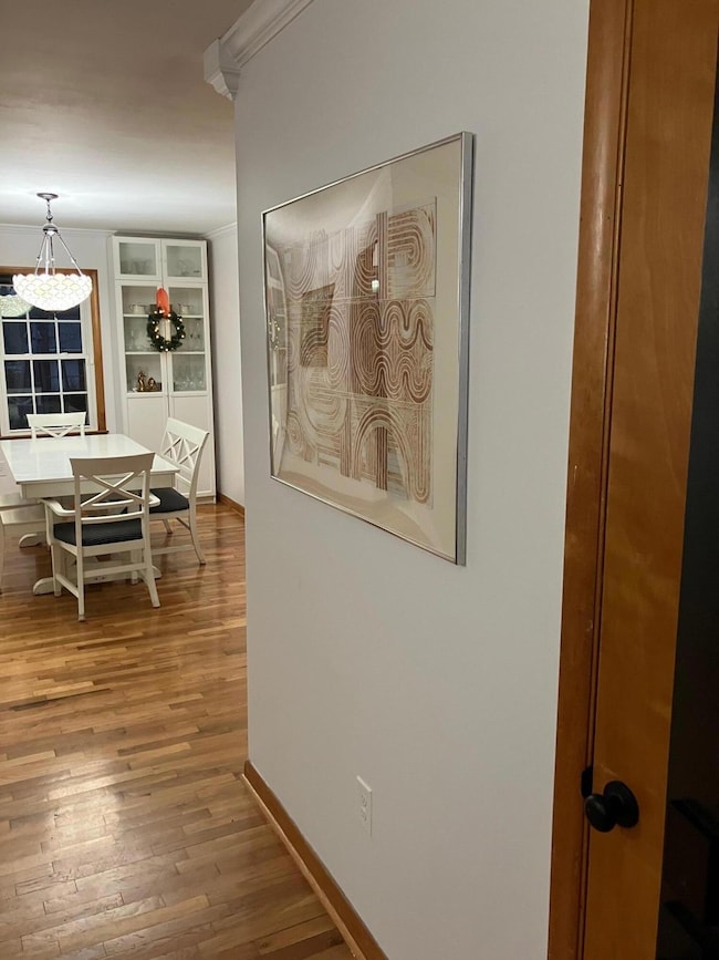 905 Collins Ln, Frankfort, KY 40601 - photo 5