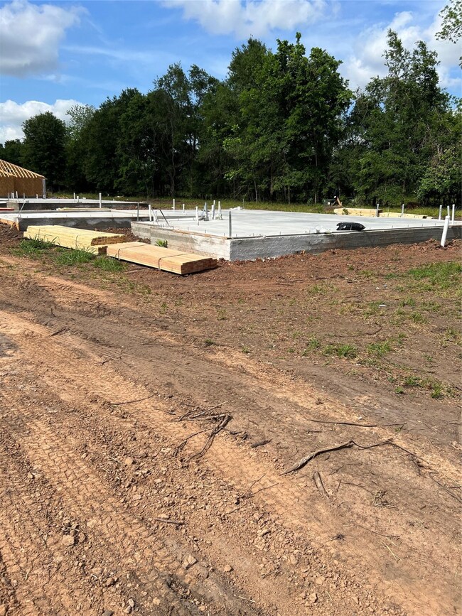 2613 County Road 769c, Brazoria, TX 77422 - photo 5