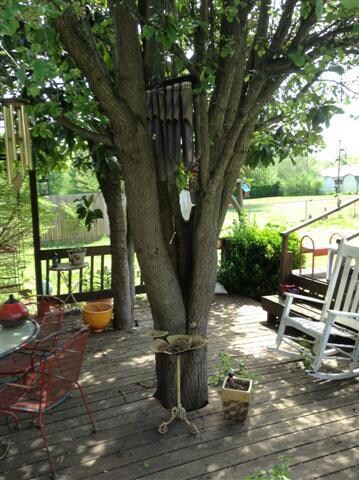Shady deck