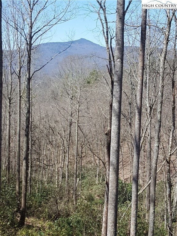 208 Artists Aly, Blowing Rock, NC 28605 - photo 2