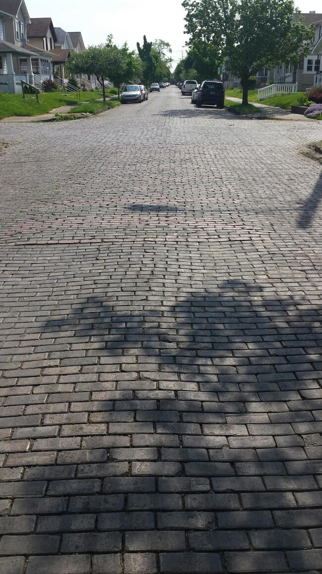 533 Sheldon Ave, Columbus, OH 43207 - photo 3