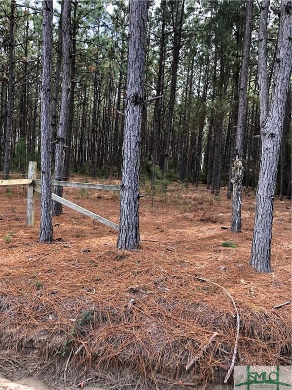 0 Sawmill Rd unit 200501, Guyton, GA 31312 - photo 2