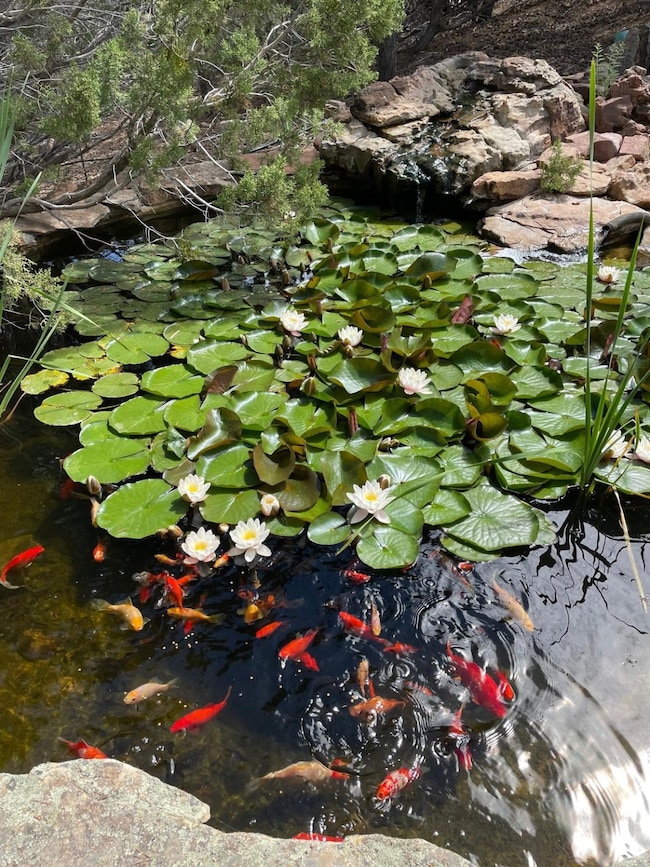 97 Quartz Trail unit A&B, Santa Fe, NM 87505 - photo 3