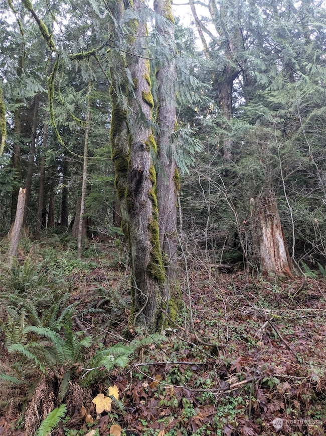 0 West Rd, Sedro Woolley, WA 98284 - photo 3