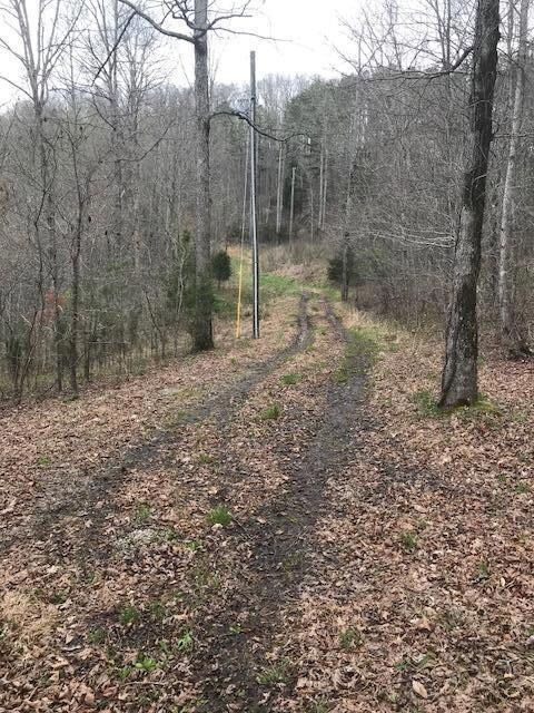 1298 Wesley Chapel Rd, Somerset, KY 42501 - photo 7