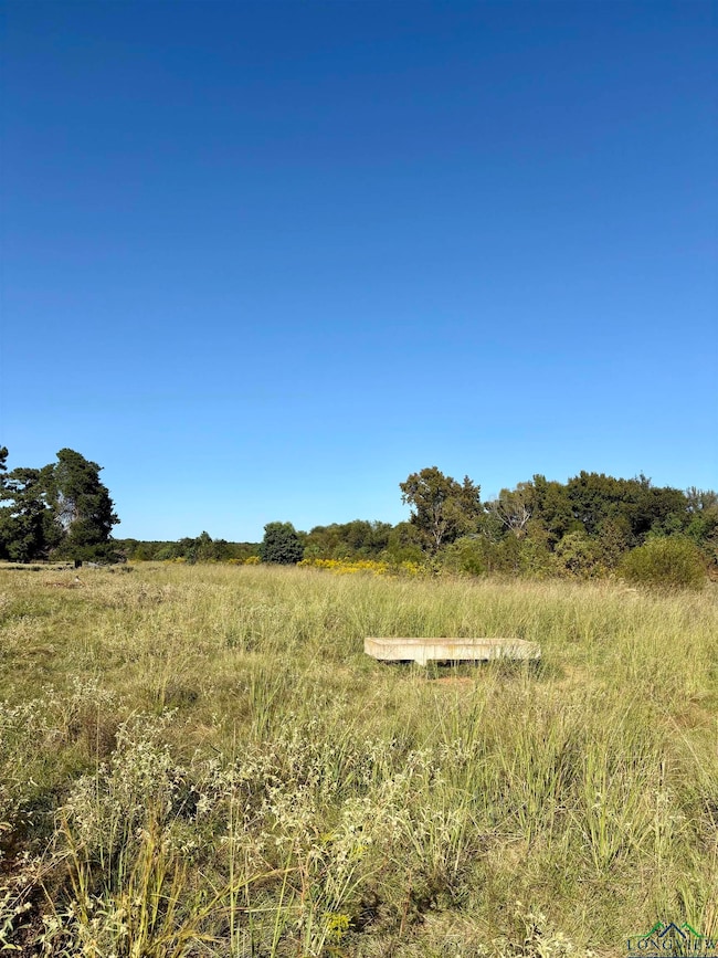 000 County Road 3414, Jacksonville, TX 75766 - photo 5