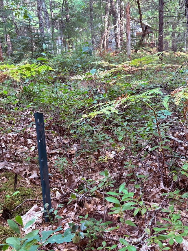 00 S Shady Grove Dr, Lake Township, MI 49304 - photo 2