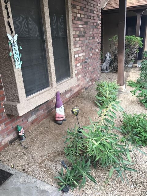 Front Window