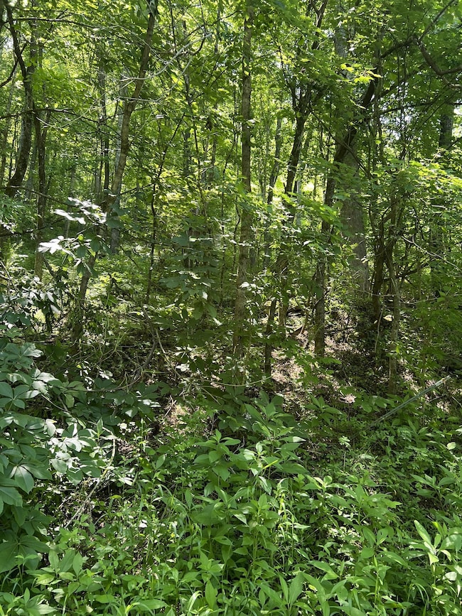 0 Peytons Creek Rd unit RTC3050956, Dixon Springs, TN 37057 - photo 5