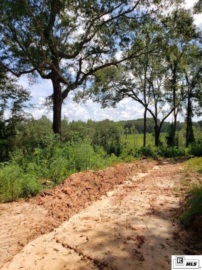 0 Demoss Rd, Eros, LA 71238 - photo 7